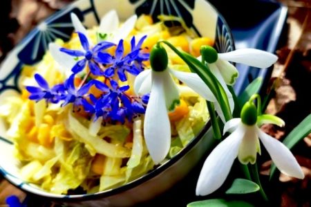 Spring Cabbage Salad with Camelina Oil