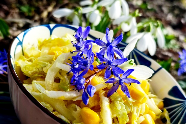 Spring Cabbage Salad with Camelina Oil 6