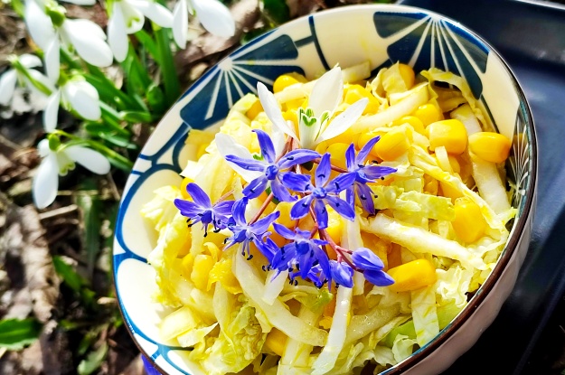 Spring Cabbage Salad with Camelina Oil 8