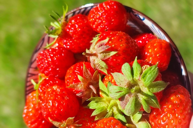Strawberry Condensed Milk Smoothie with Fresh Garden Mint 1 Strawberry Condensed Milk Smoothie with Fresh Garden Mint 1